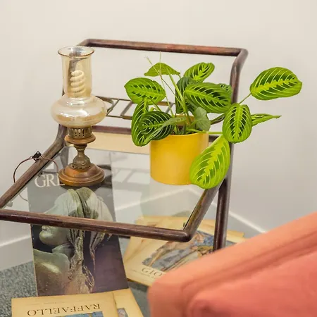 Gasthuis Re Di Luxury Rome