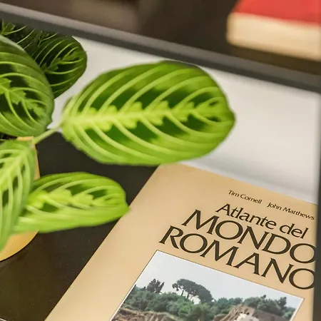 Gasthuis Re Di Luxury 4*