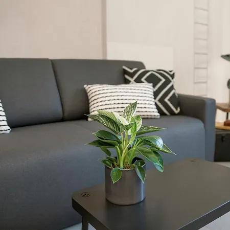 Re Di Luxury Gasthuis