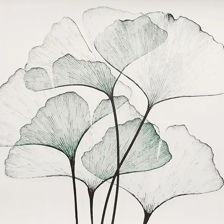 Gasthuis Re Di Luxury Rome